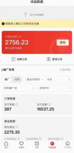 拼多多无人直播不封号玩法,0投入,3天必起,日入1000+-知一资源网