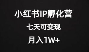 价值2000+的小红书IP孵化营项目,超级大蓝海,七天即可开始变现,稳定月入1W+-知一资源网
