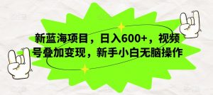 新蓝海项目,日入600+,视频号叠加变现,新手小白无脑操作【揭秘】-知一资源网