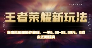 王者荣耀新玩法,卖虚拟国服操作教程,一单6.88-99.99元,0成本无限贩卖【揭秘】-知一资源网