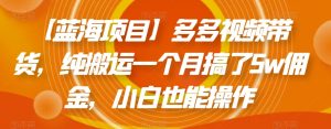 【蓝海项目】多多视频带货,纯搬运一个月搞了5w佣金,小白也能操作【揭秘】-知一资源网