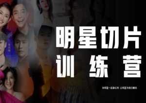 王子·明星切片线上训练营(2023),和明星一起拿红利,让明星为我们赚钱-知一资源网
