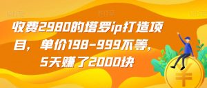 收费2980的塔罗ip打造项目,单价198-999不等,5天赚了2000块【揭秘】-知一资源网