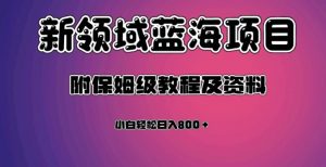 虚拟资源蓝海领域新项目，轻松日入800＋，附保姆级教程及资料-知一资源网