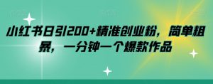 小红书日引200+精准创业粉,简单粗暴,一分钟一个爆款作品【揭秘】-知一资源网