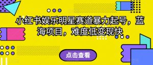 外面收费2980的视频号流量主项目,作品制作简单无脑,单账号日入过千-知一资源网