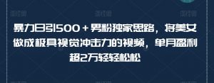 暴力日引500+男粉独家思路,将美女做成极具视觉冲击力的视频,单月盈利超2万轻轻松松-知一资源网