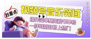 视频号音乐领域项目玩法,操作简单基本和书单号一样,特别容易上热门【揭秘】-知一资源网