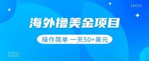 撸美金项目无门槛操作简单小白一天50+美刀-知一资源网