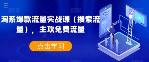 淘系爆款流量实战课(搜索流量),主攻免费流量-知一资源网