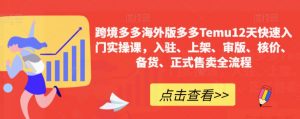 跨境多多海外版多多Temu12天快速入门实操课,入驻、上架、审版、核价、备货、正式售卖全流程-知一资源网