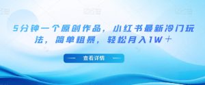 5分钟一个原创作品,小红书最新冷门玩法,简单粗暴,轻松月入1W+【揭秘】-知一资源网