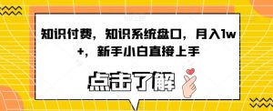知识付费,知识系统盘口,月入1w+,新手小白直接上手-知一资源网
