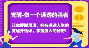 觉醒-做一个通透的强者,让你醍醐灌顶,拥有通透人生的觉醒开悟课,掌握强大的秘密!-知一资源网