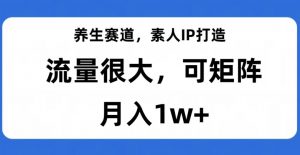 养生赛道,素人IP打造,流量很大,可矩阵,月入1w+【揭秘】-知一资源网
