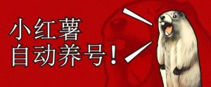 小红书养号秘籍,如何自动涨粉清晰系统标签打造高权重账号【揭秘】-知一资源网