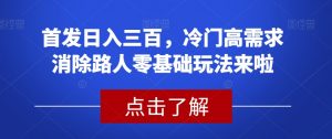 首发日入三百,冷门高需求消除路人零基础玩法来啦【揭秘】-知一资源网
