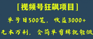 日收款500笔，纯利润3000+，视频号狂飙项目，会简单剪辑就能做【揭秘】-知一资源网