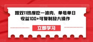 蹭双11热度吃一波肉,单号单日收益100+可复制放大操作【揭秘】-知一资源网