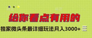 独家微头条最详细玩法,月入3000+【揭秘】-知一资源网