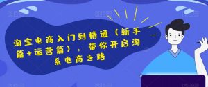 淘宝电商入门到精通(新手篇+运营篇),带你开启淘系电商之路-知一资源网