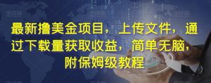最新撸美金项目,上传文件,通过下载量获取收益,简单无脑,附保姆级教程【揭秘】-知一资源网