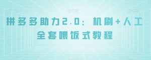 拼多多助力2.0：机刷+人工全套喂饭式教程【揭秘】-知一资源网