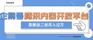 最新蓝海项目,企鹅号腾讯内容开放平台项目,靠搬运二创月入过万【揭秘】-知一资源网