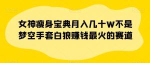 女神瘦身宝典月入几十W不是梦空手套白狼赚钱最火的赛道【揭秘】-知一资源网
