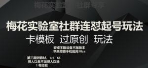 梅花实验室社群连怼起号玩法,卡模板过原创玩法【揭秘】-知一资源网