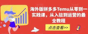 海外版拼多多Temu从零到一实践课,从入驻到运营的最全教程-知一资源网