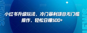 小红书升级玩法,冷门暴利项目无门槛操作,轻松日赚500+【揭秘】-知一资源网