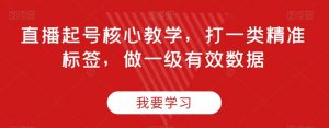 直播起号核心教学,打一类精准标签,做一级有效数据-知一资源网