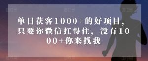 单日获客1000+的好项目,只要你微信扛得住,没有1000+你来找我【揭秘】-知一资源网