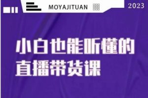 大威本威·能听懂的直播带货课,小白也能听懂,20节完整-知一资源网