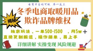 利用电商平台冬季销售取暖用品欺诈行为合理制裁店铺，单日入900+【仅揭秘】-知一资源网