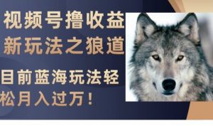 视频号撸收益新玩法之狼道,目前蓝海玩法,轻松月入过万【揭秘】-知一资源网