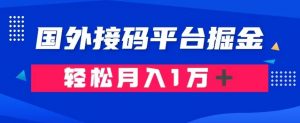 通过国外接码平台掘金：成本1.3，利润10＋，轻松月入1万＋【揭秘】-知一资源网