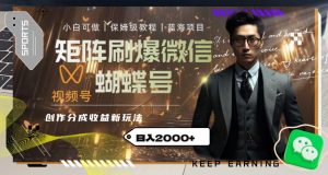 矩阵刷爆微信蝴蝶号创作者分成计划收益的新玩法,日入2000+【揭秘】-知一资源网