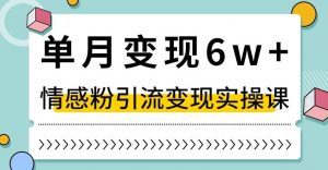 单月变现6W+，抖音情感粉引流变现实操课，小白可做，轻松上手，独家赛道【揭秘】-知一资源网