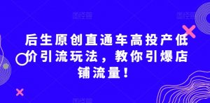 后生原创直通车高投产低价引流玩法,教你引爆店铺流量!-知一资源网