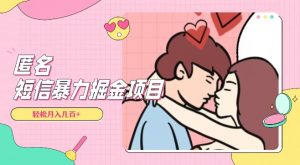 全网首发，揭秘超冷门匿名短信项目，通过信息差日入几百+【揭秘】-知一资源网