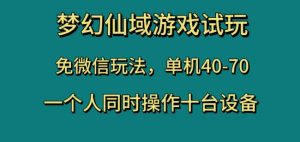 梦幻仙域游戏试玩,免微信玩法,单机40-70,一个人同时操作十台设备【揭秘】-知一资源网