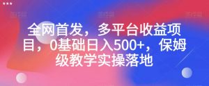 全网首发，多平台收益项目，0基础日入500+，保姆级教学实操落地【揭秘】-知一资源网