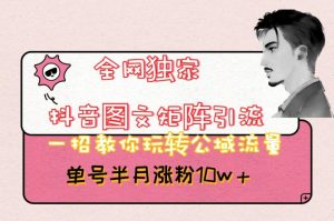 全网独家抖音图文矩阵引流,一招教你玩转公域流量,单号半月涨粉10w+【揭秘】-知一资源网