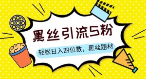 S粉变现,轻松日入四位数,黑丝题材+情感话术【揭秘】-知一资源网