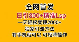 全网首发!日引800+精准老色批,一天变现2000+,独家引流方法,可矩阵操作【揭秘】-知一资源网