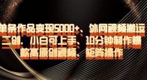单条作品变现5000+、外网视频搬运二创，小白可上手，10分钟制作爆款高原创视频，矩阵操作【揭秘】-知一资源网