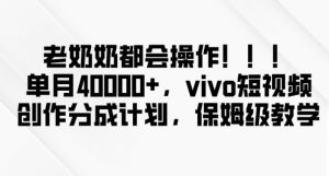 老奶奶都会操作,新平台无脑操作,单月40000+,vivo短视频创作分成计划【揭秘】-知一资源网