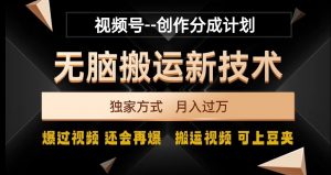 视频号无脑搬运新技术,破原创壕流量,独家方式,爆过视频,还会再爆【揭秘】-知一资源网